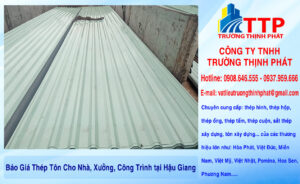 Báo Giá Thép Tôn Cho Nhà, Xưởng, Công Trình tại Hậu Giang