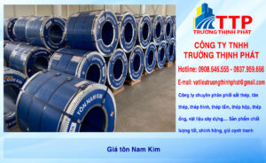 Giá tôn Nam Kim