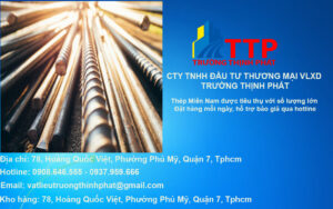 thep mien nam chinh hang cty ttp