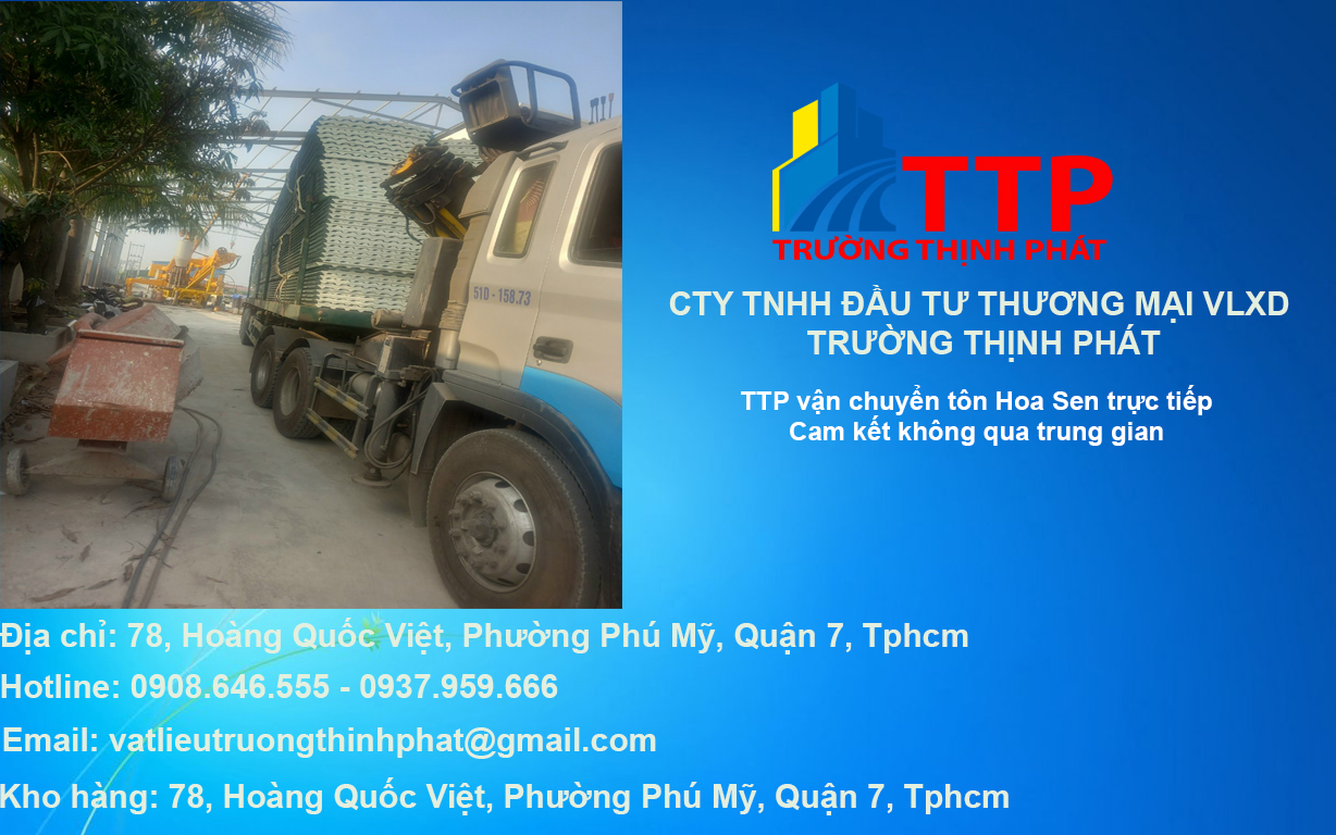 bang gia ton hom nay ton hoa sen