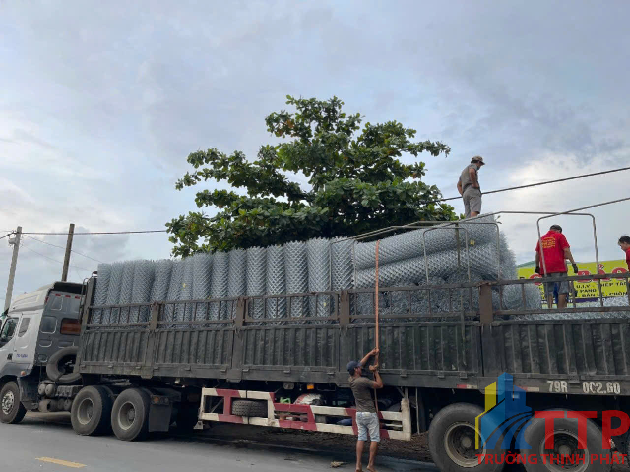 giá lưới B40 giá lưới B40